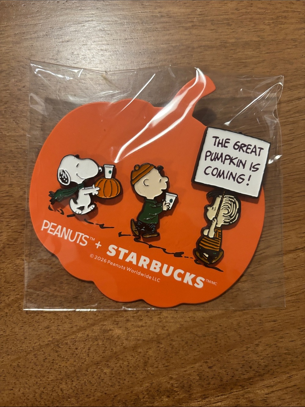 Starbucks Peanuts Pumpkin Orange Enamel Pin Trio